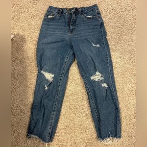 Universal Thread Vintage Straight Jeans
